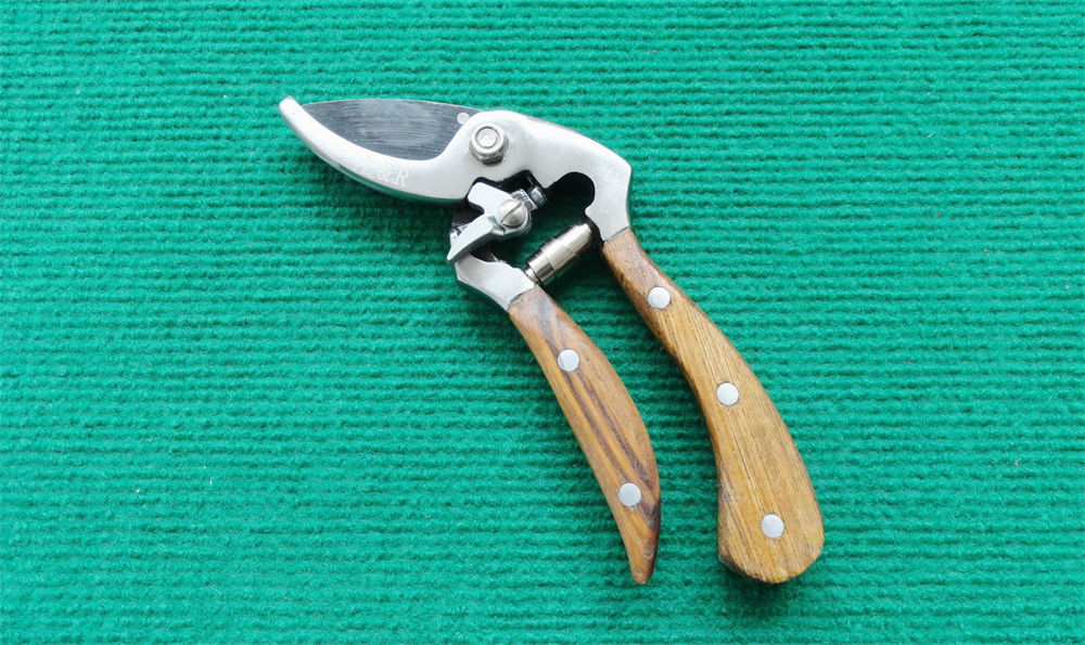 Top Quality Pruning Shear