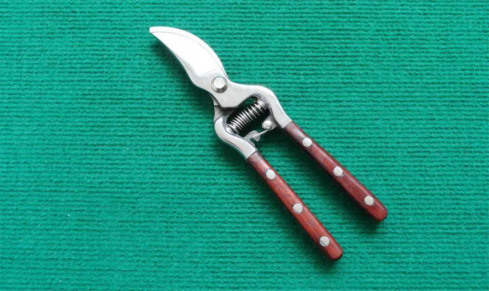 Top Quality Pruning Shear
